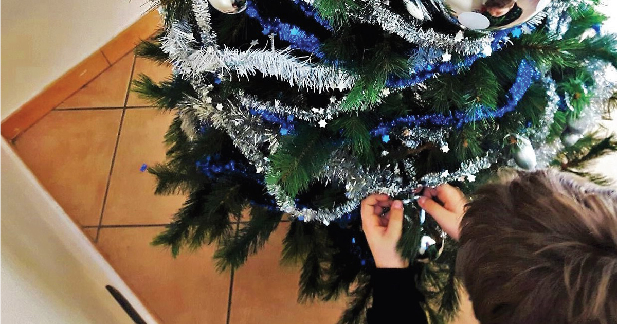 Scopri di più sull'articolo L’albero è pronto: un desiderio per Casa Base Avigliana! – Sostienici