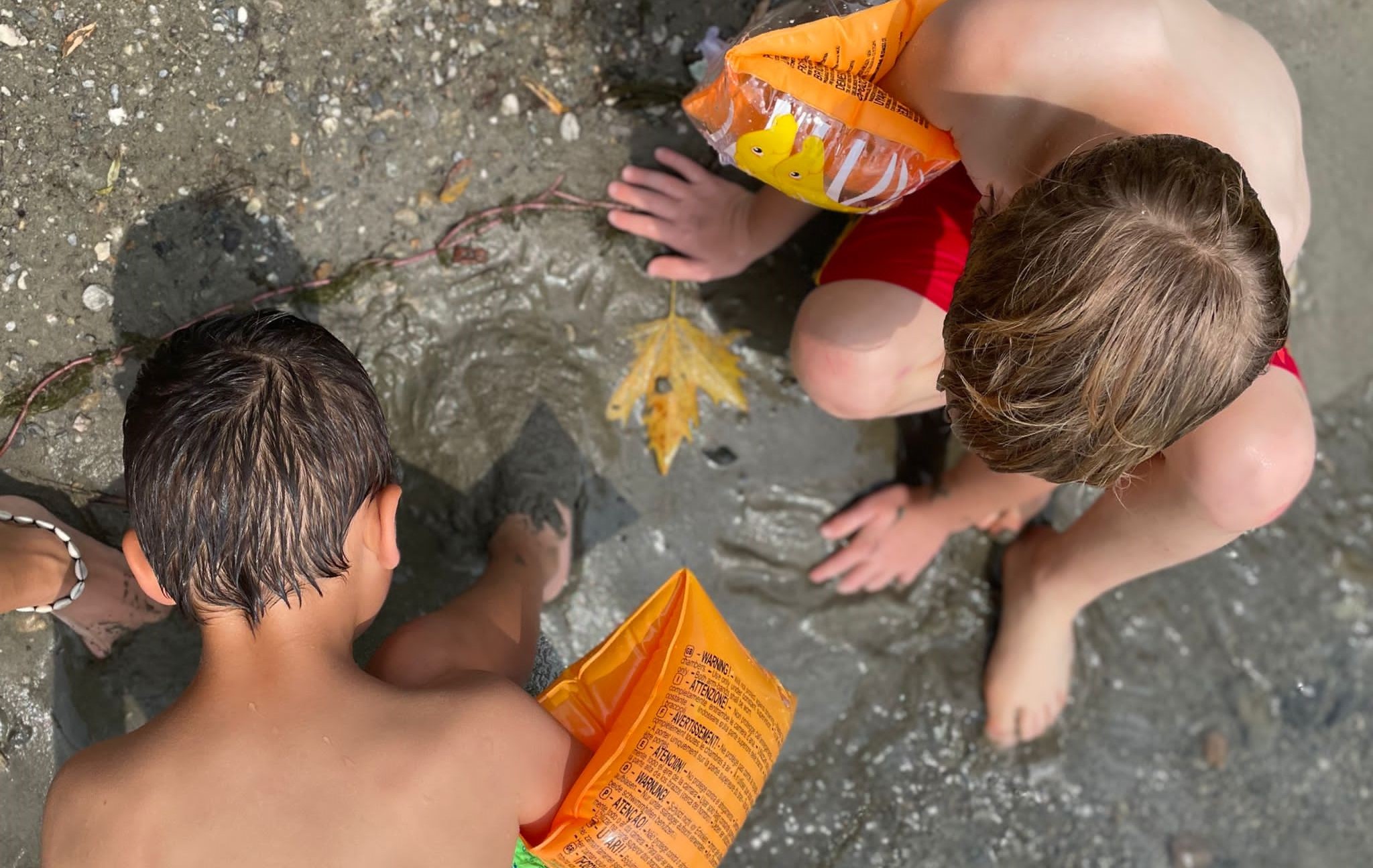 Scopri di più sull'articolo Metà estate: a volte i sogni si avverano